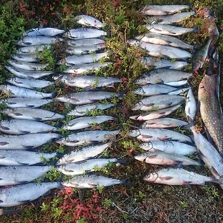 Horská chata Auroracabin Saariselka
