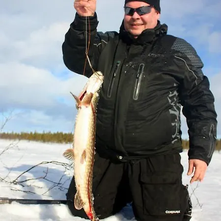 Lomamökit Auroracabin *