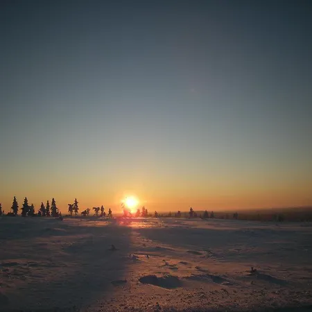 Auroracabin Saariselkä