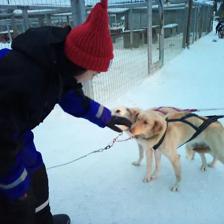 Auroracabin Alpesi faház Saariselka