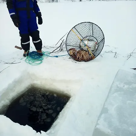 Alpesi faház Auroracabin *