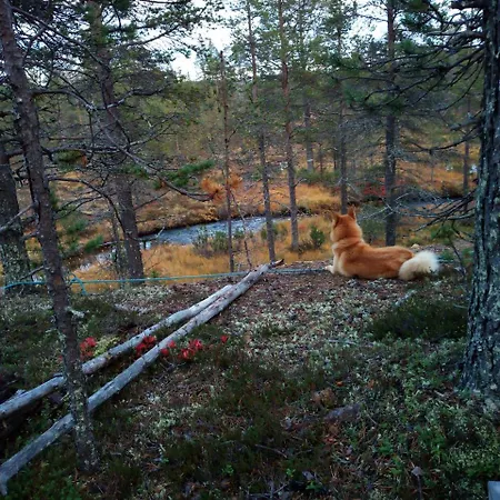 Auroracabin Alpesi faház