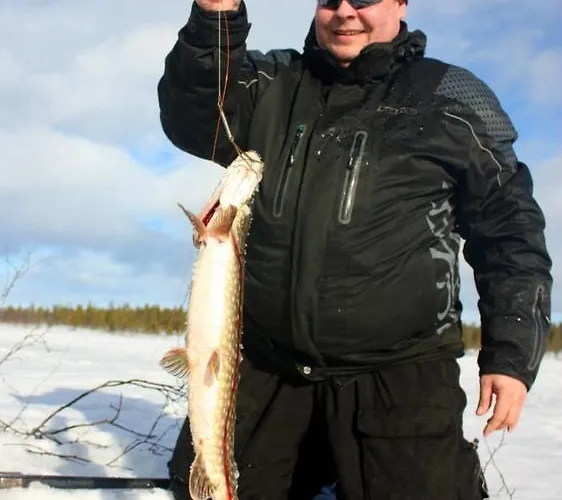 Chalet Auroracabin *