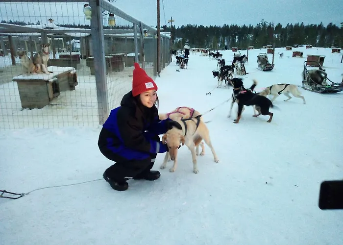 Σαλέ Auroracabin