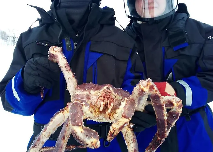 Σαλέ Auroracabin