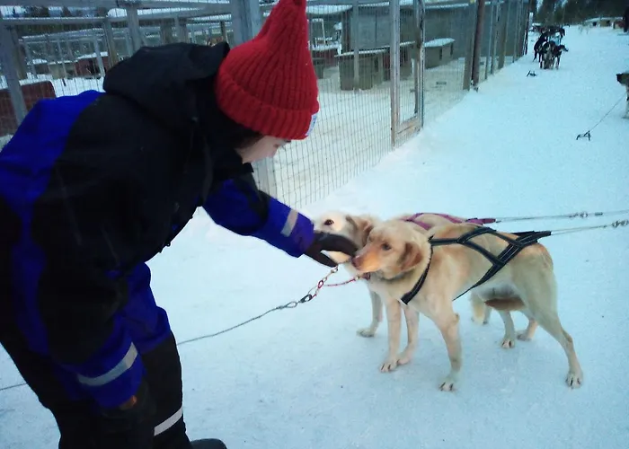 Auroracabin Σαλέ Saariselka