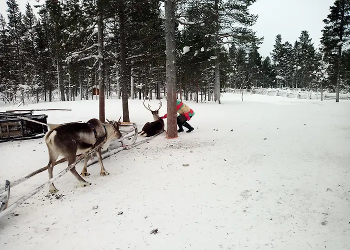 Auroracabin Chalet Saariselka