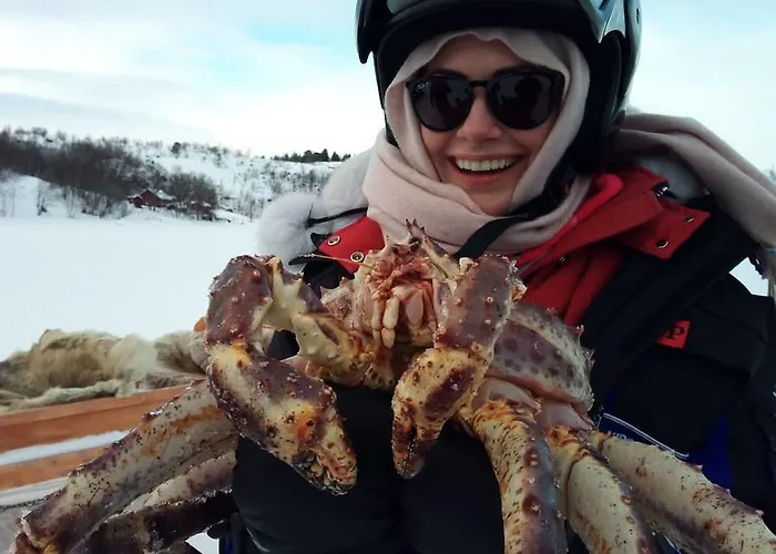 Auroracabin Σαλέ *