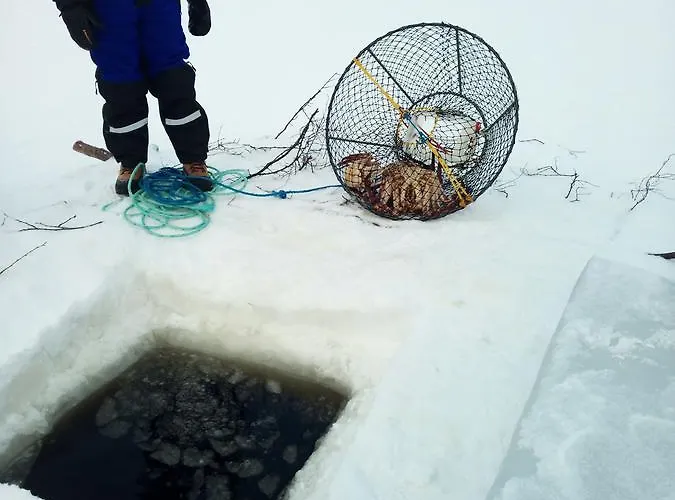 Chalet Auroracabin *