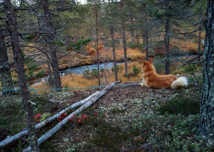 Auroracabin Σαλέ